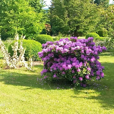 Pensión Maison De La Source