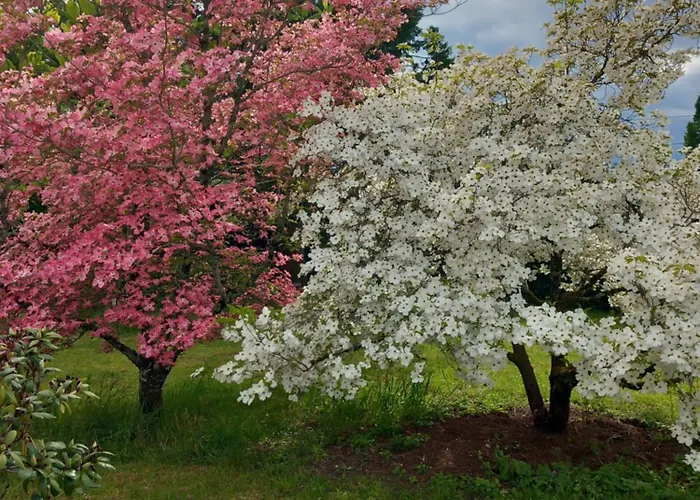 Maison De La Source *
