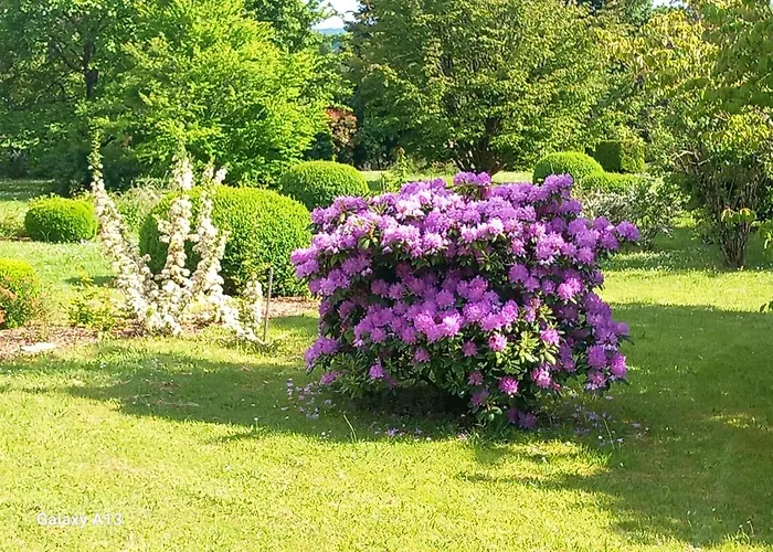 Pensionat Maison De La Source